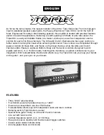 Предварительный просмотр 3 страницы Peavey Triple XXX Operating Manual