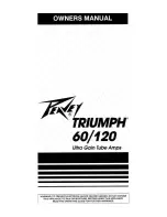 Peavey Triumph Triumph 120 UltraGain User Manual preview