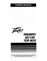 Peavey Triumph Triumph 120 User Manual preview