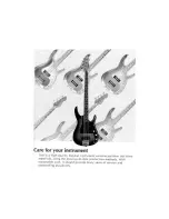 Предварительный просмотр 11 страницы Peavey Tube Fex None Operating Manual