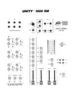 Preview for 2 page of Peavey Unity 1000 SM Owner'S Manual