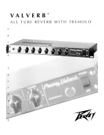 Preview for 1 page of Peavey Valverb Operating Manual