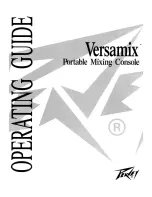 Peavey Versamix User Manual preview