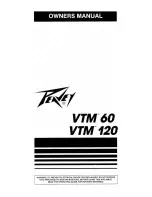 Peavey VTM-120 Owner'S Manual предпросмотр