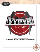 Peavey VYPYR 100 Player'S Handbook предпросмотр