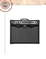 Preview for 20 page of Peavey VYPYR 100 Player'S Handbook