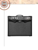 Preview for 38 page of Peavey VYPYR 100 Player'S Handbook