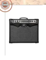 Preview for 56 page of Peavey VYPYR 100 Player'S Handbook