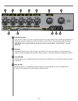 Предварительный просмотр 265 страницы Peavey Vypyr VIP 1 Operating Manual