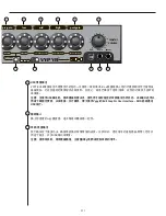 Предварительный просмотр 311 страницы Peavey Vypyr VIP 1 Operating Manual