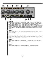 Предварительный просмотр 313 страницы Peavey Vypyr VIP 1 Operating Manual