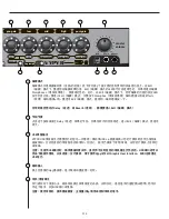 Предварительный просмотр 315 страницы Peavey Vypyr VIP 1 Operating Manual