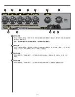 Предварительный просмотр 317 страницы Peavey Vypyr VIP 1 Operating Manual