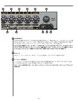 Предварительный просмотр 337 страницы Peavey Vypyr VIP 1 Operating Manual