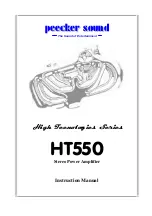 Peecker Sound HT550 Instruction Manual preview