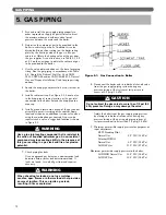 Preview for 16 page of PeerlessBoilers MI-03 Installation & Maintenance Manual