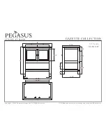 Preview for 6 page of Pegasus Gazette GAEA2418 Specification Sheet