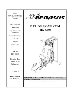 Preview for 1 page of Pegasus HG 8250 Owner'S Manual