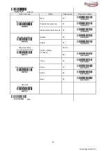 Preview for 33 page of Pegasus PS1133 User Manual