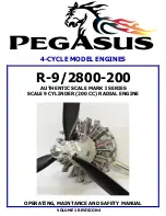 Предварительный просмотр 1 страницы Pegasus R-9/2800-200 Operating, Maintance And Safety Manual