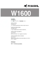 Pegasus W1600 Series Instructions Manual предпросмотр