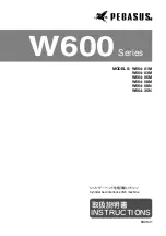 Pegasus W600 series Instructions Manual предпросмотр