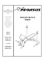 Pegasus WB859 Owner'S Manual preview