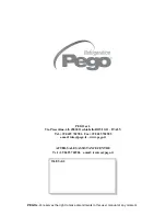 Preview for 32 page of Pego 100N MASTER3 2PLT Use And Maintenance Manual