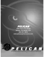 Preview for 14 page of Pelican PREDATOR 24 PL-6613 Manual