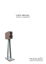 PENAUDIO Charisma User Manual preview