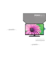 Pendo PNDLHDU32 User Manual preview