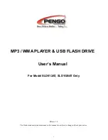 Pengo SLD1GBAT User Manual предпросмотр