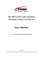 Pengo SLD1GBSDM User Manual предпросмотр