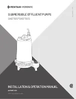 Предварительный просмотр 1 страницы Pentair Hydromatic SHEF100S Installation & Operation Manual