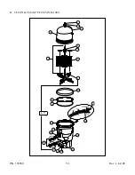 Preview for 10 page of Pentair Pool Products Clean & Clear Plus Owner'S Manual