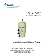 Pentair Pool Products D.E. Cartridge Style Filter Quad D.E. Installation And User Manual preview