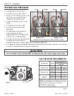 Preview for 12 page of Pentair Pool Products MiniMax 200 Operation & Installation Manual