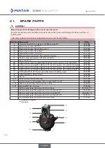 Preview for 102 page of Pentair 2307193 Operating Instructions Manual