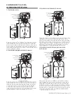 Preview for 53 page of Pentair 4002162 Service Manual