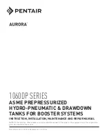 Предварительный просмотр 1 страницы Pentair AURORA 1060DP Series Instruction, Installation, Maintenance And Repair Manual