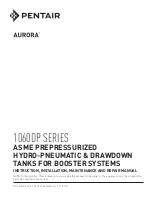 Pentair AURORA 1060DP Series Instruction, Installation, Maintenance And Repair Manual предпросмотр