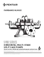 Pentair Fairbanks Nijhuis 5900 Series Installation, Operation And Maintenance Instructions preview