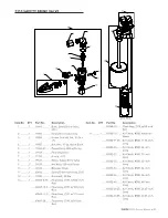 Предварительный просмотр 33 страницы Pentair FLECK 2900S Service Manual