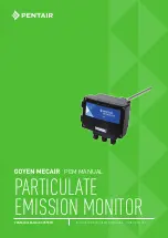 Pentair GOYEN MECAIR PEM Manual preview