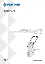 Предварительный просмотр 1 страницы Pentair HAFFMANS GMT Instruction Manual