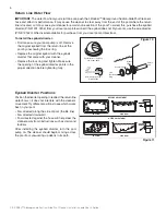 Предварительный просмотр 10 страницы Pentair Lil Rebel Installation And User Manual