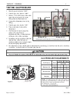 Preview for 13 page of Pentair MiniMax NT 200 Operation & Installation Manual