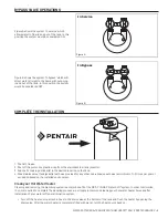 Preview for 9 page of Pentair NS3-P Manual