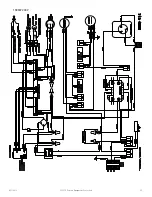 Preview for 29 page of Pentair S06 Instruction Manual