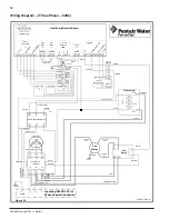 Preview for 42 page of Pentair ThermalFLo HP User Manual